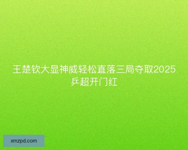 王楚钦大显神威轻松直落三局夺取2025乒超开门红 王楚钦大显神威轻松直落三局夺取2025乒超开门红