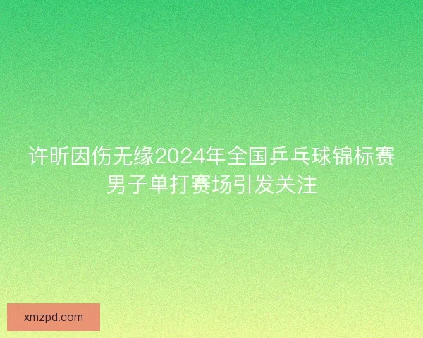 许昕因伤无缘2024年全国乒乓球锦标赛男子单打赛场引发关注