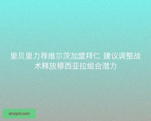 里贝里力荐维尔茨加盟拜仁 建议调整战术释放穆西亚拉组合潜力